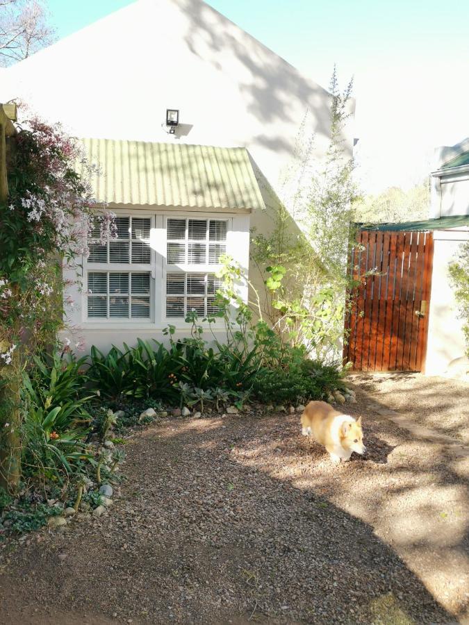 30 Oak Street Ξενοδοχείο Greyton Εξωτερικό φωτογραφία