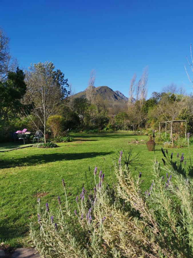30 Oak Street Ξενοδοχείο Greyton Εξωτερικό φωτογραφία